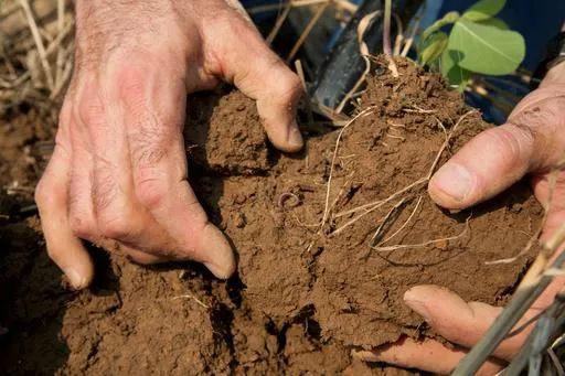 Image: USDA Natural Resources Conservation Service, An NRCS employee takes a soil sample on a farm that has incorporated many conservation practices to protect and enhance natural resources, Wikimedia Commons, Creative Commons Attribution-Share Alike 4.0 International