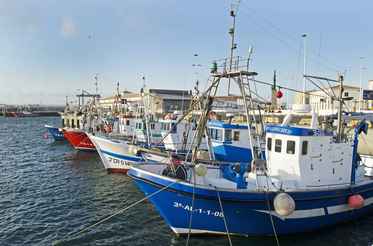 Image: Romaniamissions, Fishing boats Spain, Pixabay, Pixabay Licence