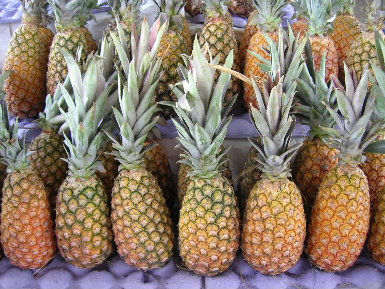 Image: Victoria Rachitzky Hoch, Abacaxi, piña, pineapple, Flickr, Creative Commons Attribution 2.0 Generic