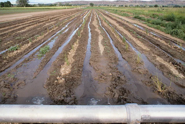 Image: USDA NRCS Montana, Irrigation31.tif, Flickr, Public domain