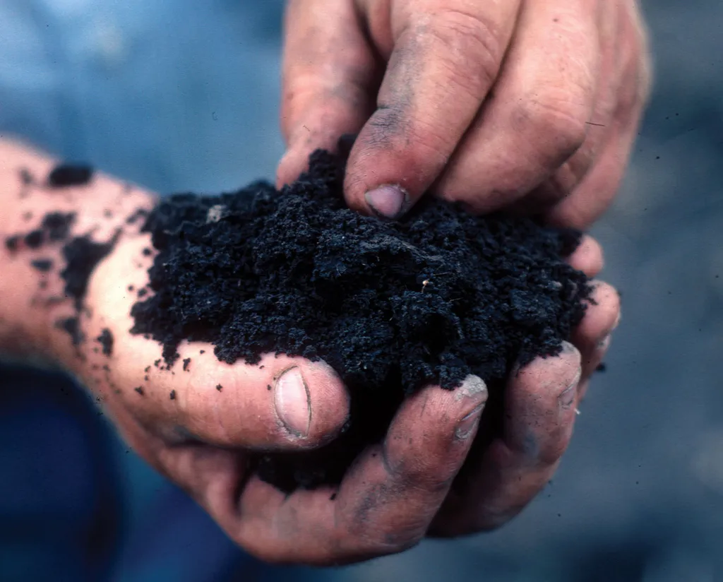 Image: NRCS Soil Health, Touch healthy soil, Flickr, Creative Commons Attribution 2.0 Generic