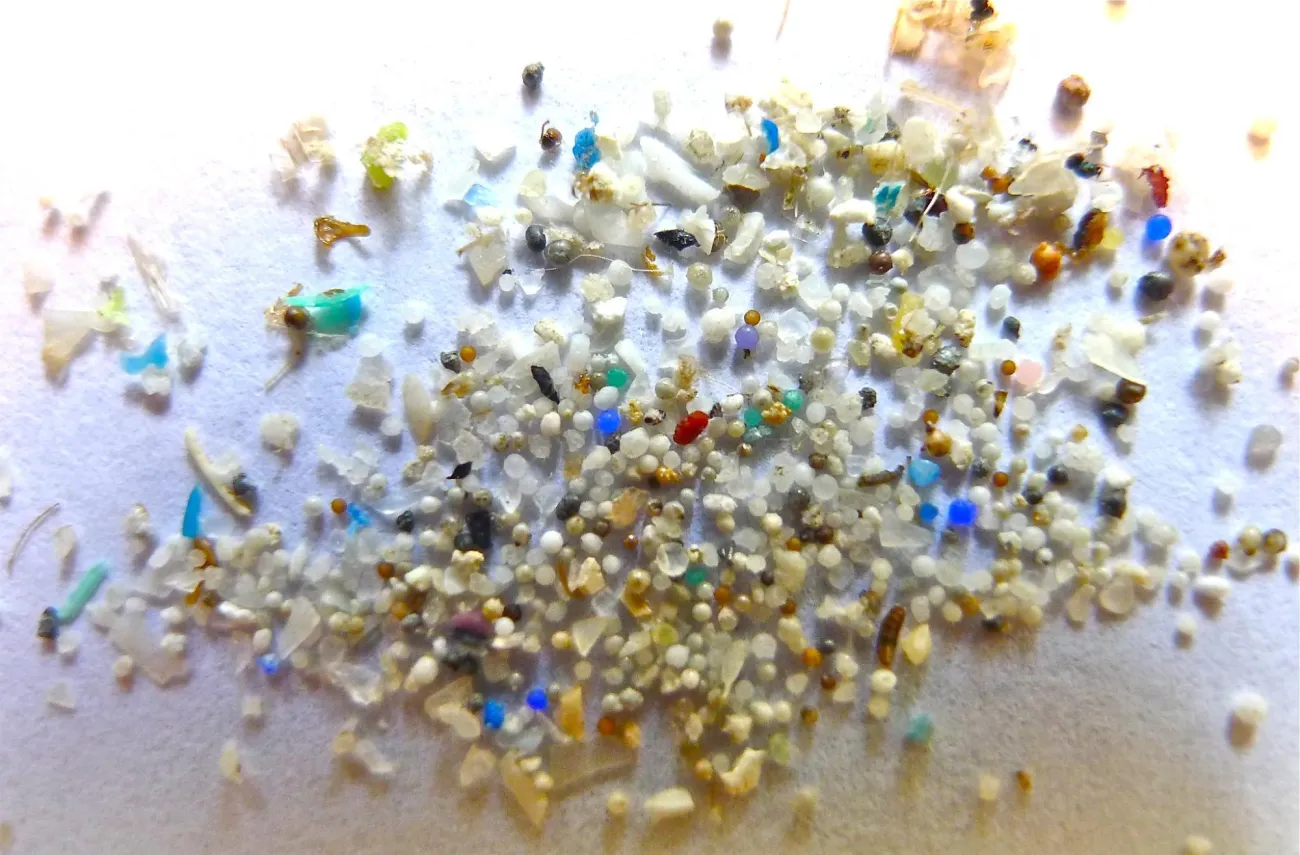 Image: Oregon State University, Microplastic, Flickr, Creative Commons Attribution-ShareAlike 2.0 Generic