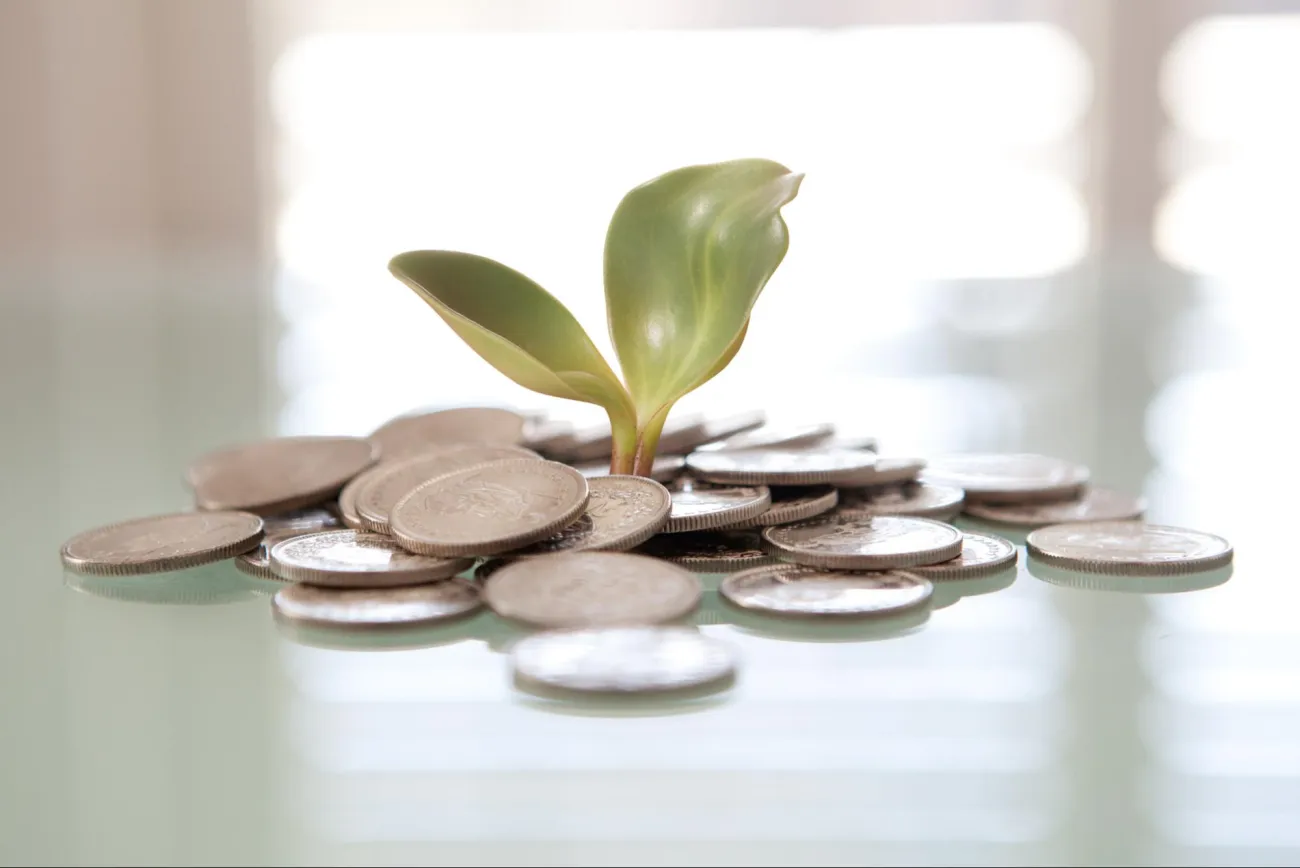 Image: Tax Credits, Money Plant, Flickr, Creative Commons Attribution 2.0 Generic