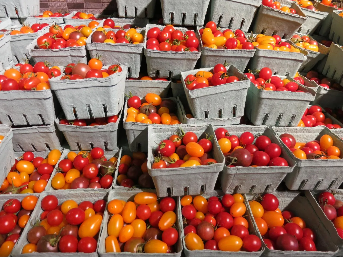 Image: Ruth Hartnup, Heirloom cherry tomatoes at Wholefoods, Flickr, Creative Commons Attribution 2.0 Generic
