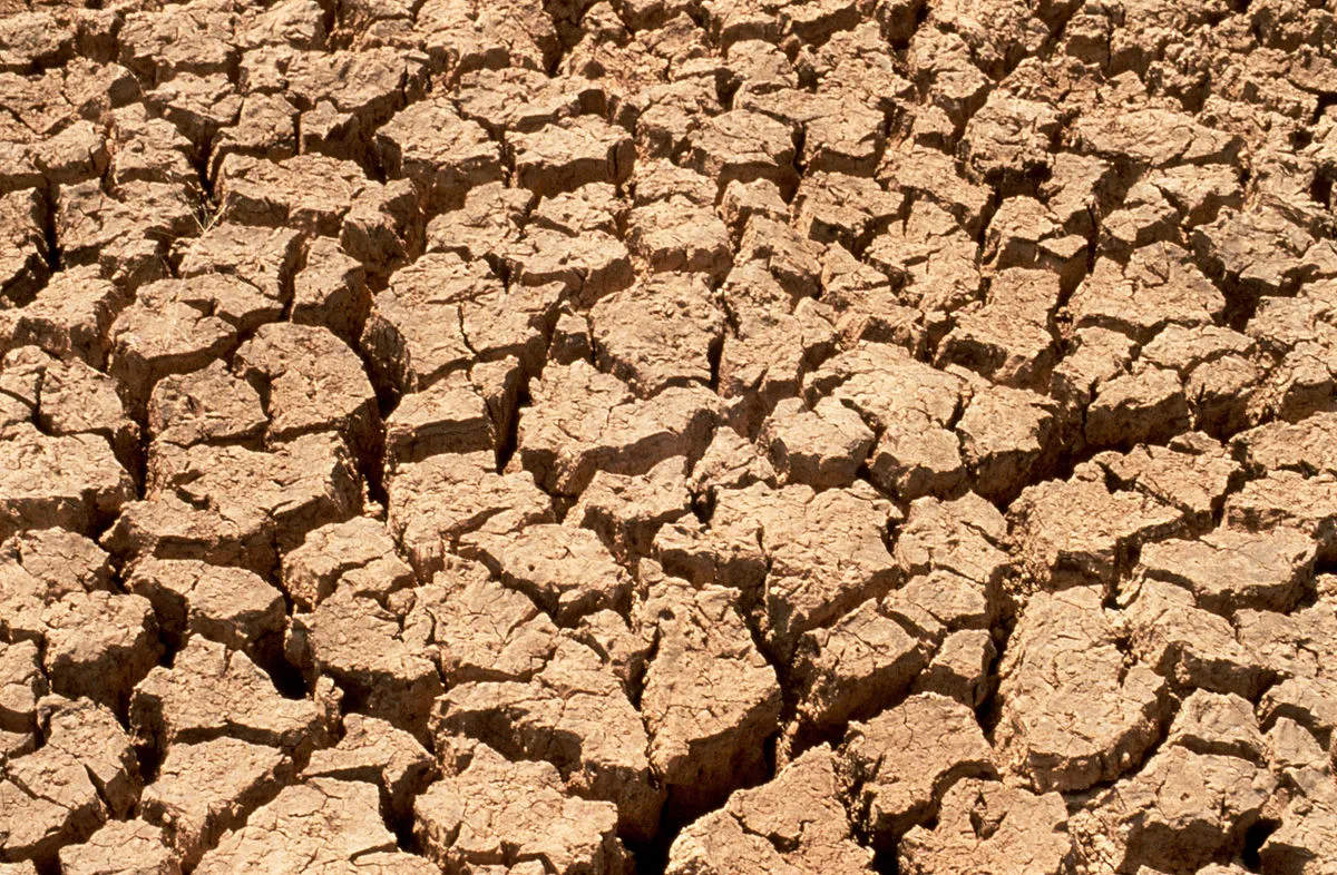 Image: Atmospheric Research, CSIRO, Parched earth, typical of a drought., Wikimedia Commons, Creative Commons Attribution 3.0 Unported