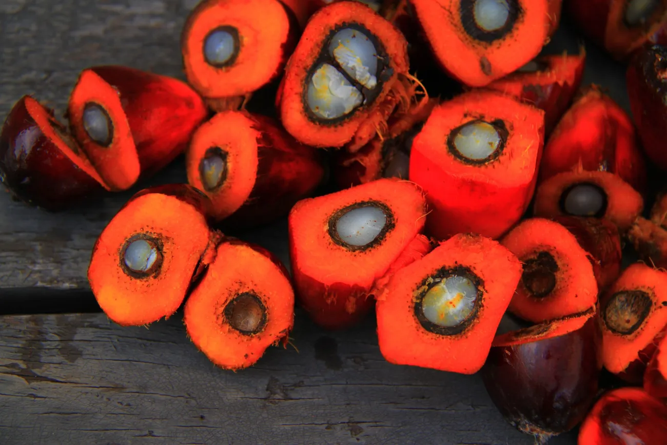 Image: Feelphotoz, Palm oil, Flickr, Creative Commons CC0