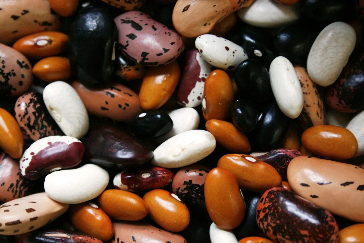 Image: Beans Proteins, Max Pixel, Creative Commons CC0