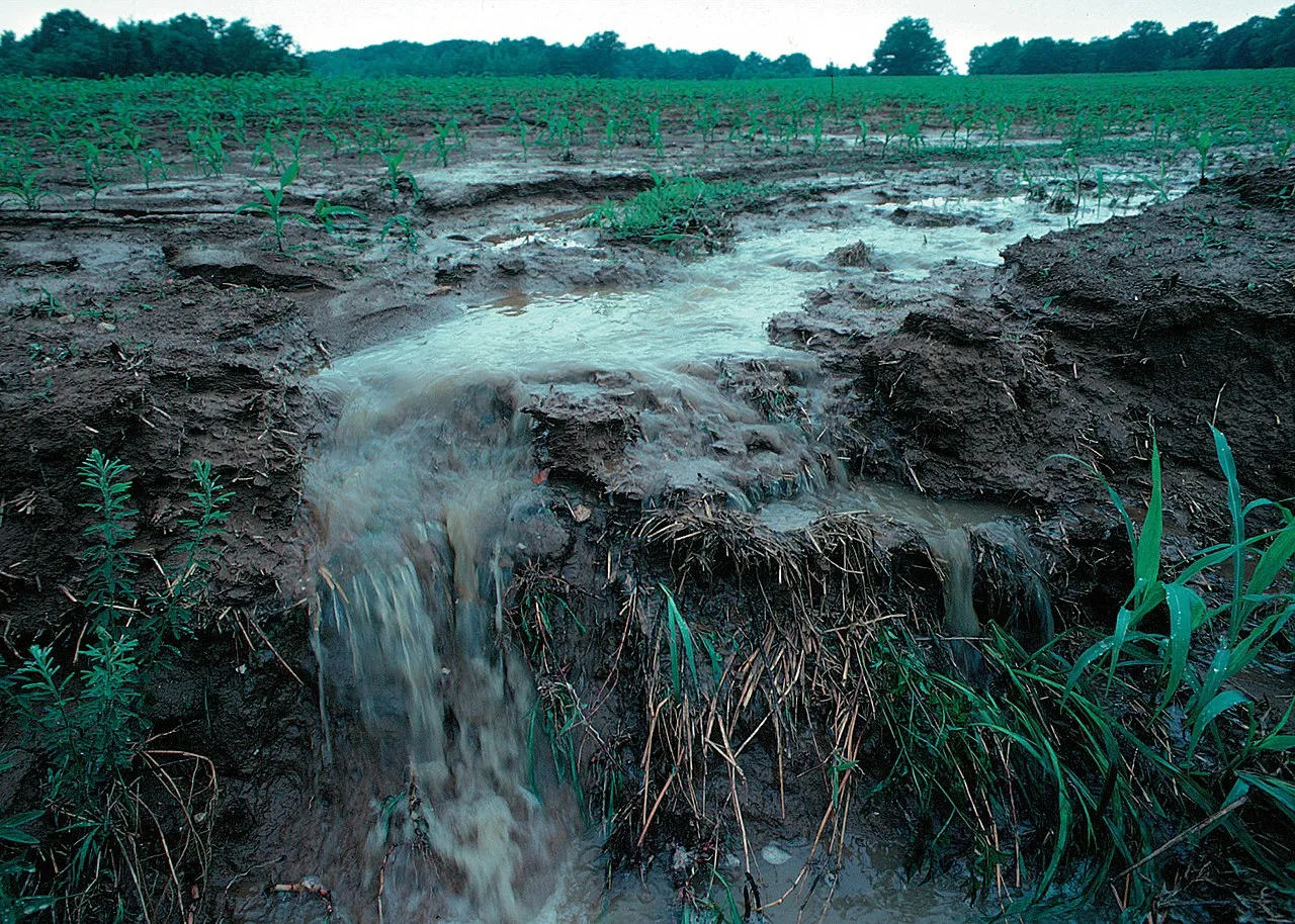 Image: Lynn Betts, Runoff of soil & fertilizer, Wikimedia Commons, Public domain