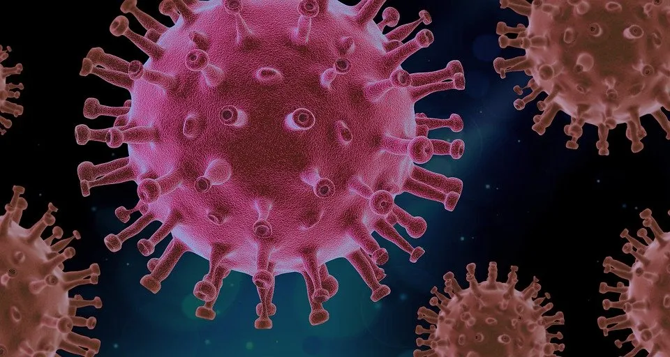 Image: PIRO4D, Virus pathogen infection, Pixabay, Pixabay licence
