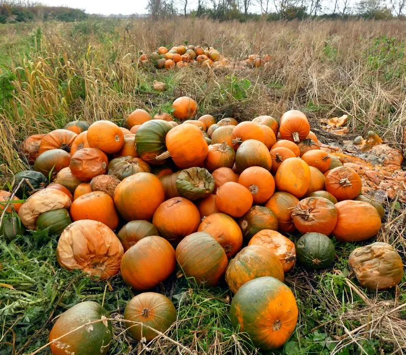 Image: Graham Hogg, Surplus to requirements, Geograph, Creative Commons Attribution-ShareAlike 2.0 Generic