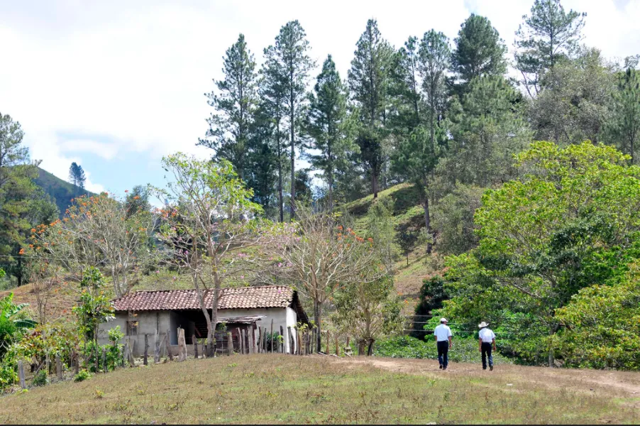 Photo: Neil Palmer, CIAT Nicaragua, Flickr Creative commons licence 2.0  generic