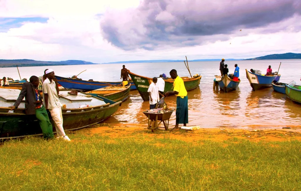 Photo: natalienicolecrane, fishing at lake victoria, Flickr, Creative Commons License 2.0 generic.