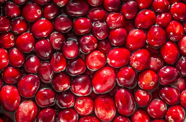 Image: liz west, cranberries, Flickr, Creative Commons Attribution 2.0 Generic
