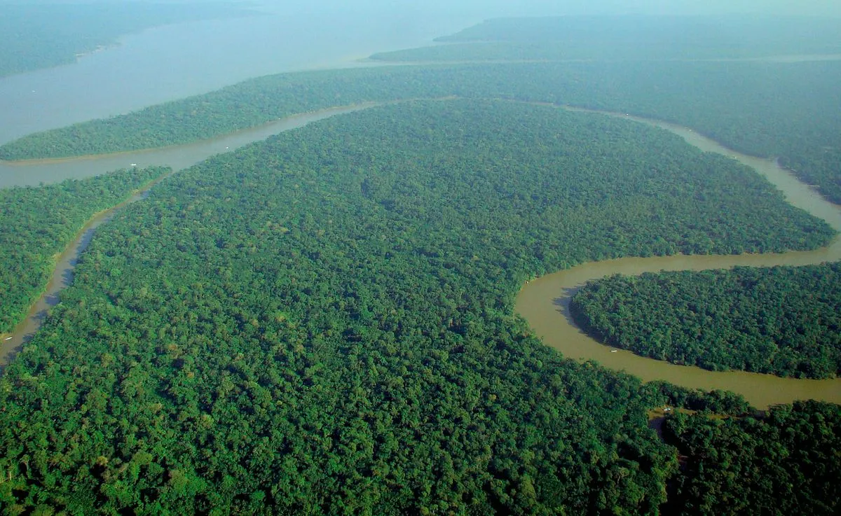 Image: lubasi, Aerial view of the Amazon Rainforest, Wikimedia Commons, Creative Commons Attribution-Share Alike 2.0 Generic