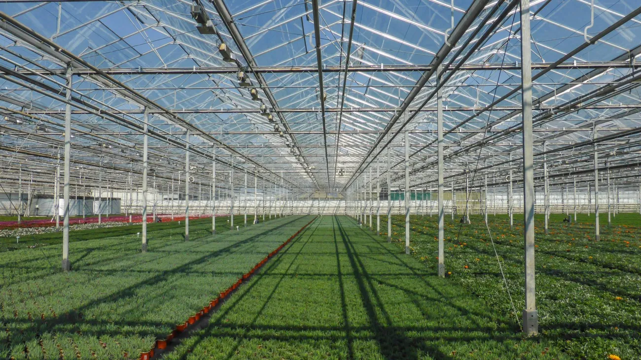 Photo: -JvL-, Westland greenhouse, Flickr, CC 2.0