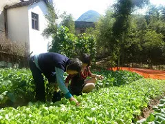  Photo: Global Water Forum, Agriculture in China, Creative Commons License 2.0 