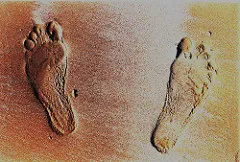 Photo: Pejman Parvandi, Footprint, Flickr, Creative Commons License 2.0