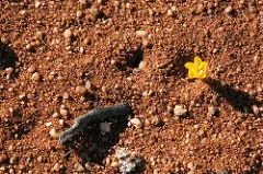 Photo: South African Tourism, Northern Cape, Flickr, Creative Commons License 2.0