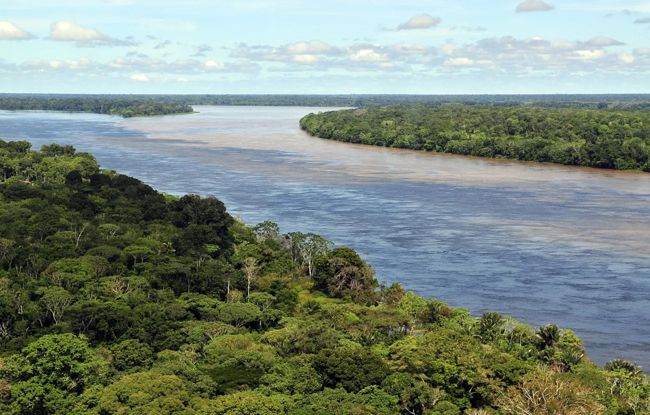 Image: Neil Palmer, Aerial view of the Amazon Rainforest, near Manaus, the capital of the Brazilian state of Amazonas, Wikimedia Commons, Creative Commons Attribution-Share Alike 2.0 Generic