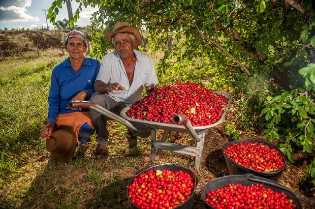 Image: World Resources Institute, Two farmers in Brazil with their acerola berry harvest, Wikimedia Commons, Creative Commons Attribution-Share Alike 4.0 International