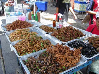 Insect food stall, Wikimedia Commons