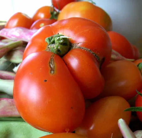 Figure 2: Photo Credit: Sarah R, Ugly But Good!, Flickr, Creative Commons License 2.0