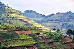 Photo: Rod Waddington, After the Rainforest Uganda, Flickr, Creative Commons License 2.0