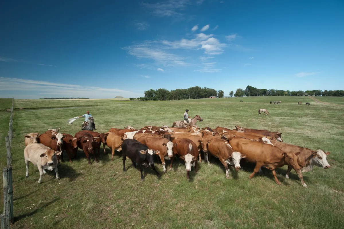 Image: Pxhere, Field, farm, meadow, Public domain