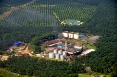 Photo: Marufish, palm oil mill, Flickr, Creative Commons licence 2.0