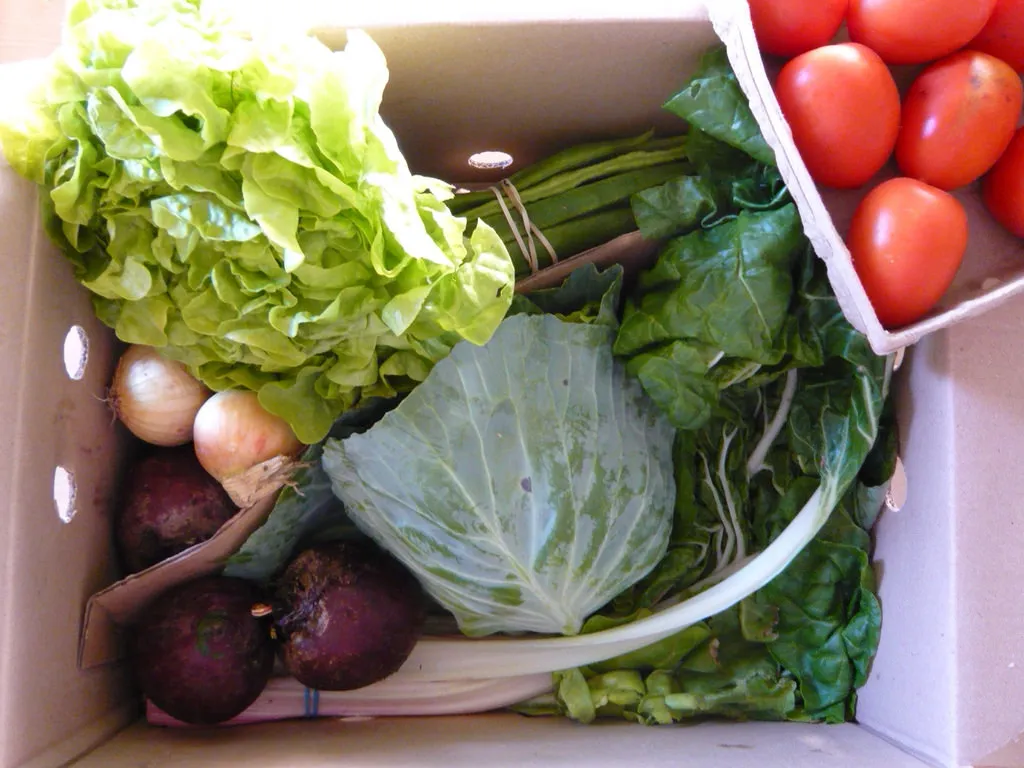 Image: WordRidden, Veg box, Flickr, Creative Commons Attribution 2.0 Generic