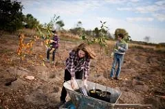Photo: Tishman Environment and Design Center, Treeplanting, Flickr, Creative Commons License 2.0