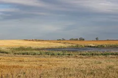 Photo: USFWS Mountain-Prairie, Wetlands in Croplands, Flickr, Creative Commons License 2.0