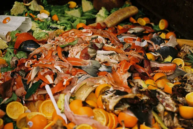 Photo: Taz, Food waste. Peering into a dumpster at the GI Market, Flickr, Creative Commons licence 2.0
