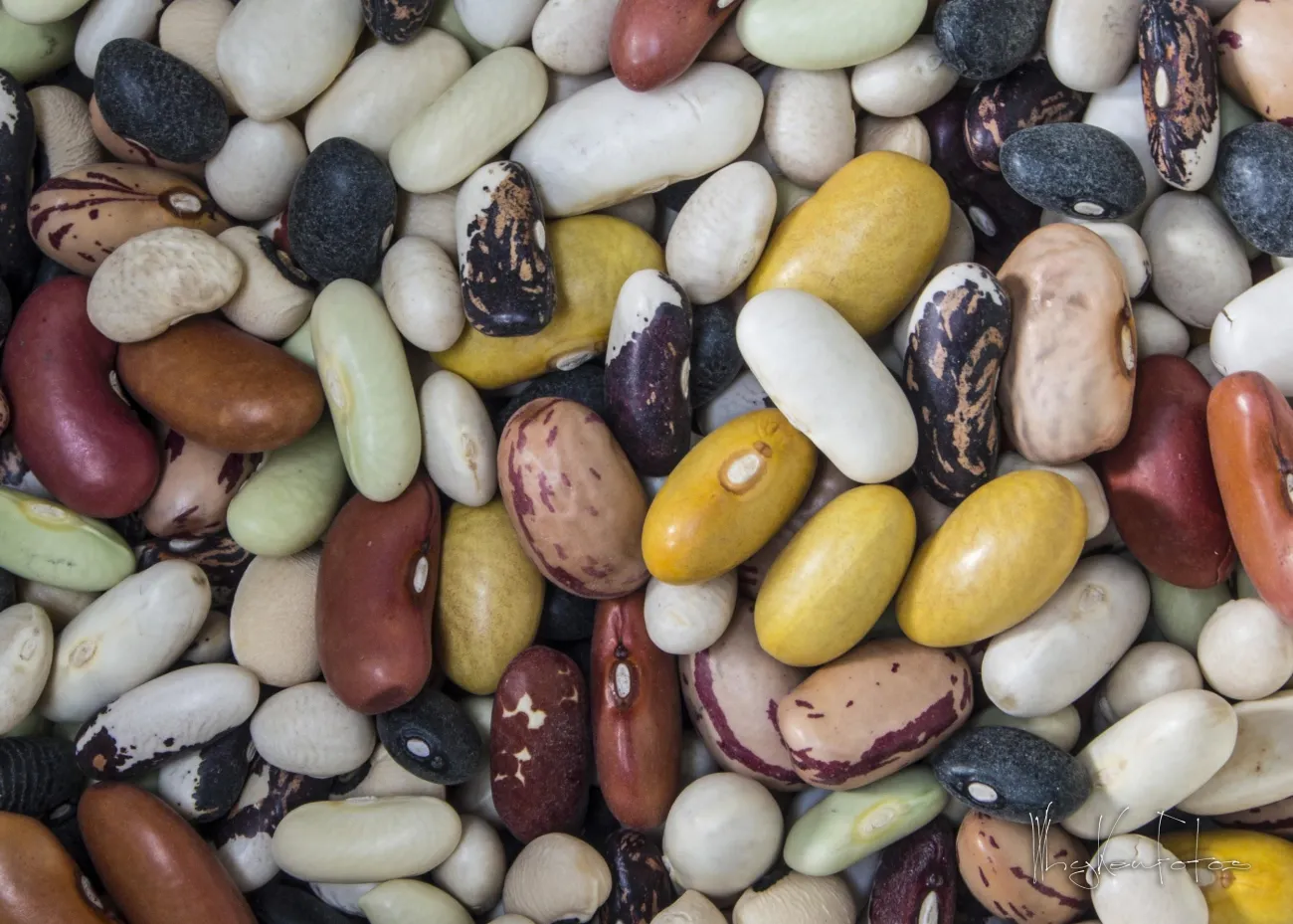 Photo: Mr Beans, Kenneth Leung, Flickr, Creative Commons License Attribution 2.0 Generic
