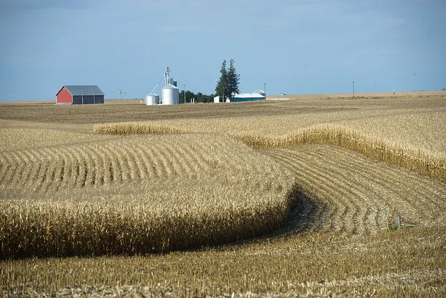 Photo: United Soybean Board, "Corn field", Flickr, Creative Commons License 2.0 generic.