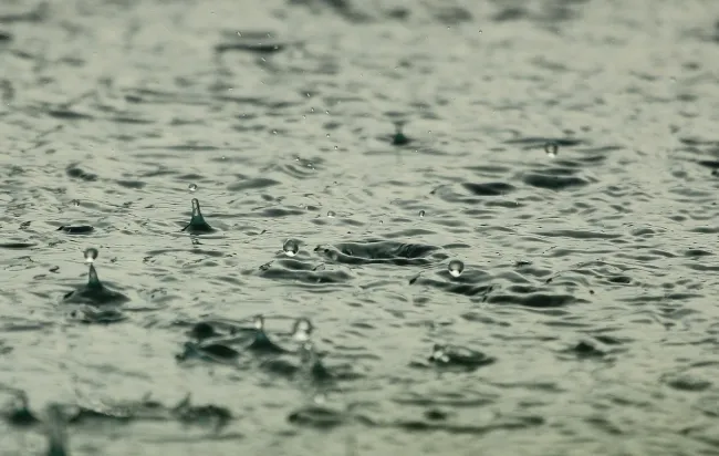 Image: diego_torres, Water Raindrops Raining, Pixabay, Pixabay Licence
