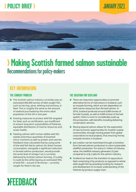 Making Scottish farmed salmon sustainable report cover