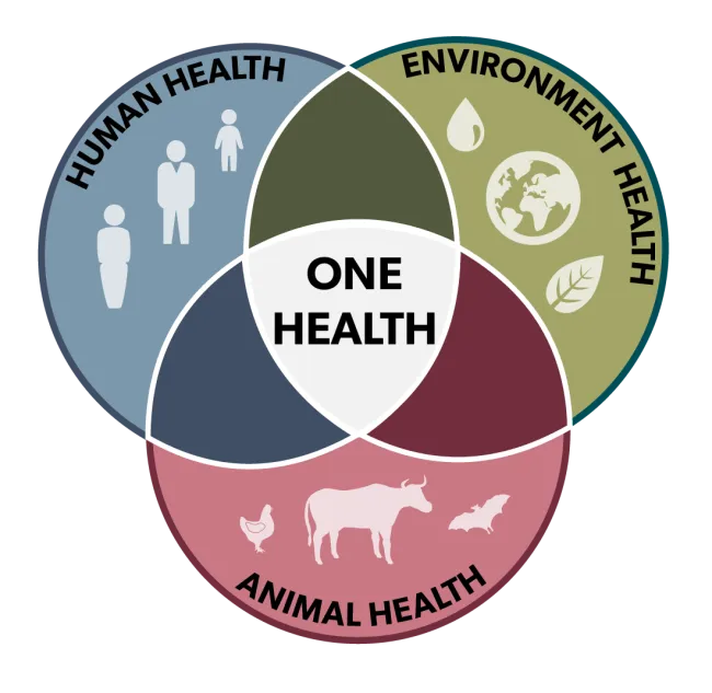 Livestock pathways to 2030: One Health