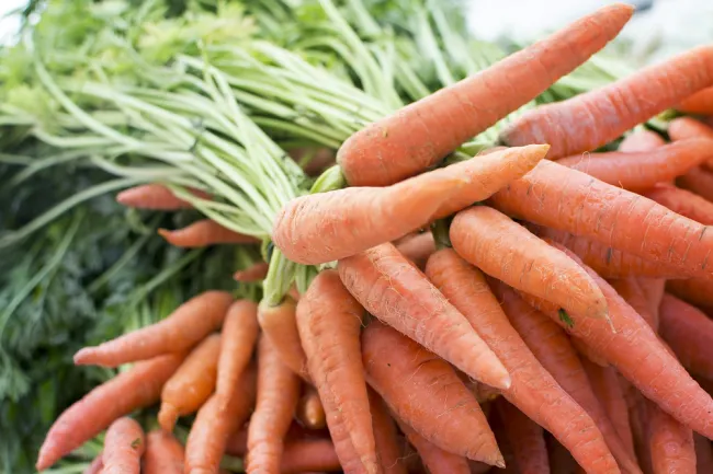 Image: Wild0ne, Carrot produce grocery, Pixabay, Pixabay Licence