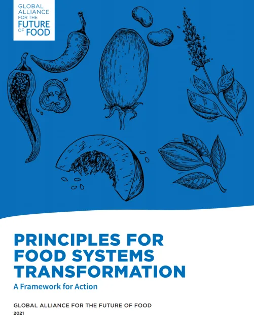 Principles and framework for food systems transformation