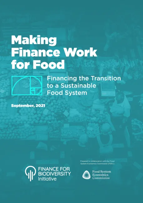 Making finance work for food