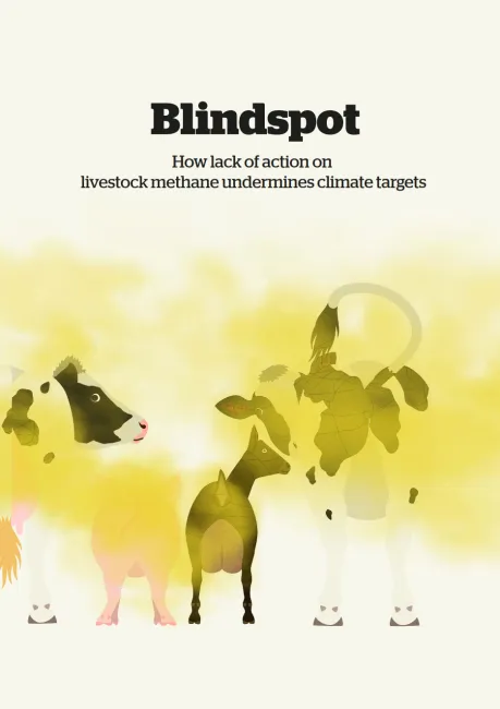 How lack of action on livestock methane undermines climate target