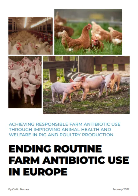 Ending routine farm antibiotic use in Europe