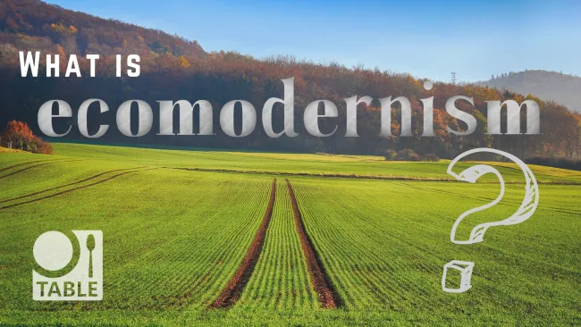 A field with tractor tracks through the middle extends into the distance, with a forest in the distance. The text asks "What is ecomodernism?"
