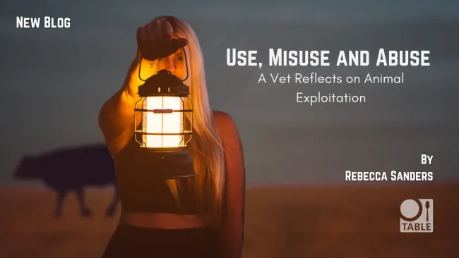 New blog: Use, Misuse and Abuse - a vet reflects on animal exploitation - by Rebecca Sanders