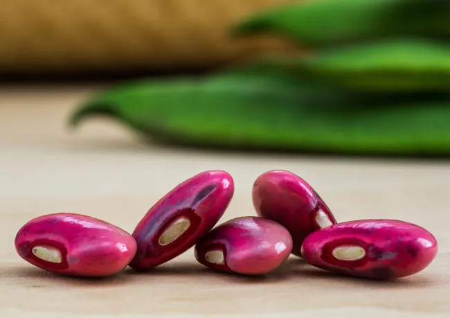 Beans
