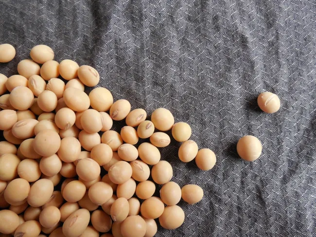 Image: Jing, Soybeans, Pixabay, Pixabay Licence