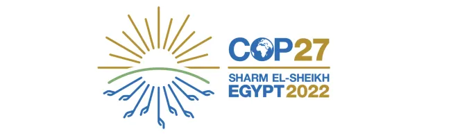 COP 27