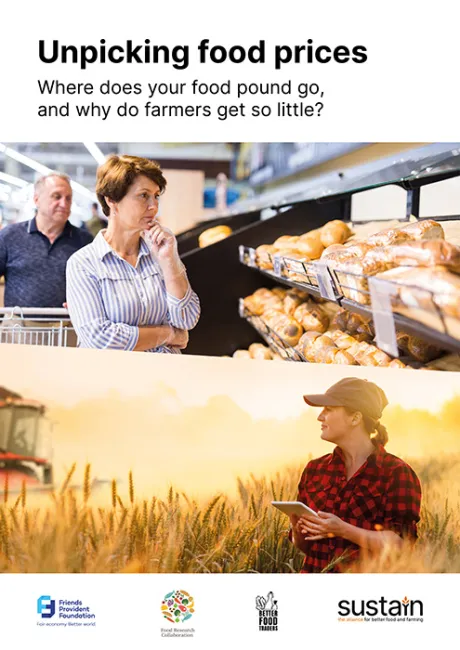 Unpicking food prices