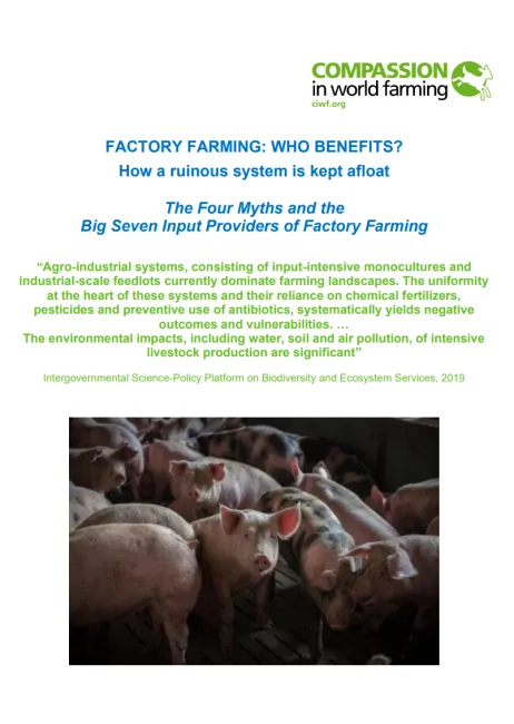 Factory Farming: Who benefits? How a ruinous system is kept afloat